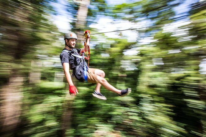 Sunshine Coast Adventure Park TreeTop Challenge - What to Expect During Your Visit
