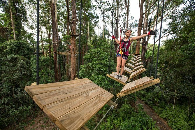 Sunshine Coast Adventure Park TreeTop Challenge - Who Should Consider This Tour?