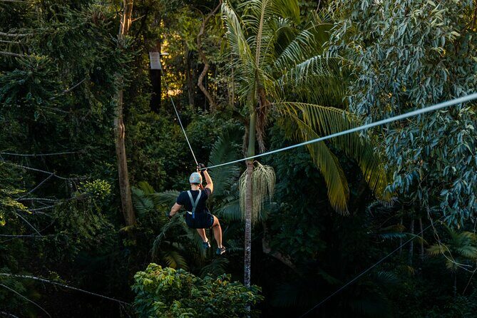 Sunshine Coast Adventure Park TreeTop Challenge - Final Thoughts