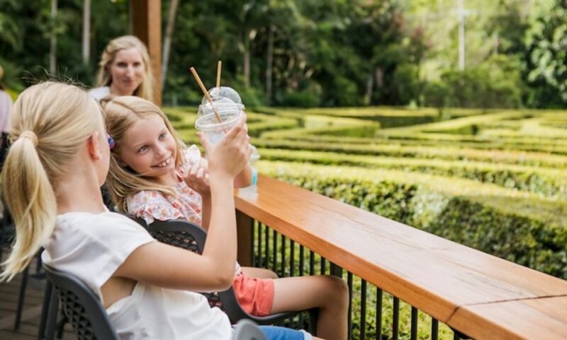 Sunshine Coast: Amaze World All-Day Entry Ticket - Navigating the Bellingham Hedge Maze