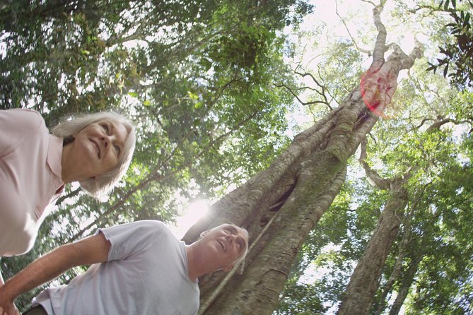 Sunshine Coast and Noosa Private Tour Inc. 2-Course Gourmet Lunch - About the Tour Provider