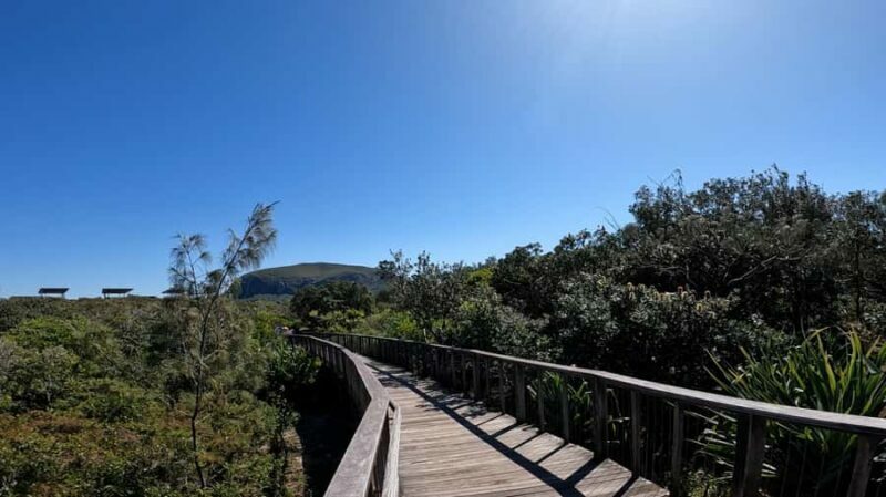 Sunshine Coast: Easy Peasy Novotel North E-Bike Tour - What to Expect from the Sunshine Coast E-Bike Tour