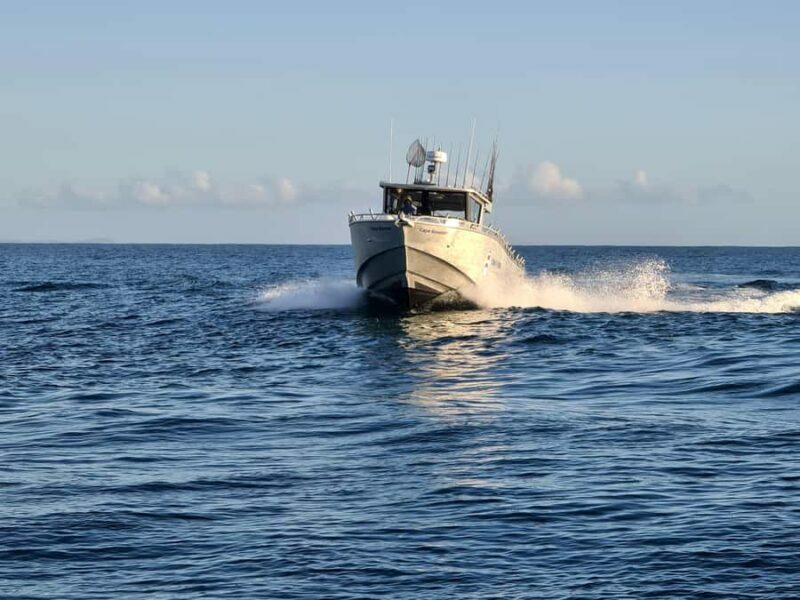 Sunshine Coast: Fishing Charters - An In-Depth Look at the 5-Hour Offshore Fishing Experience