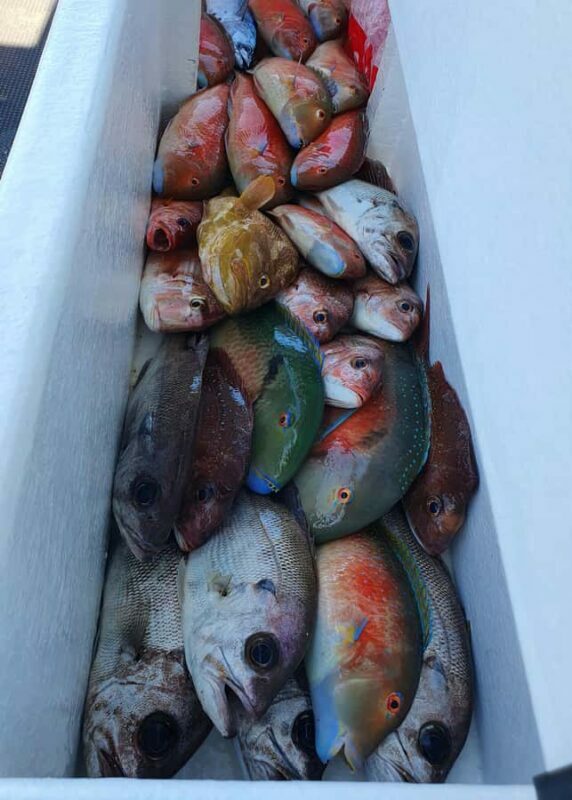 Sunshine Coast: Fishing Charters - FAQ