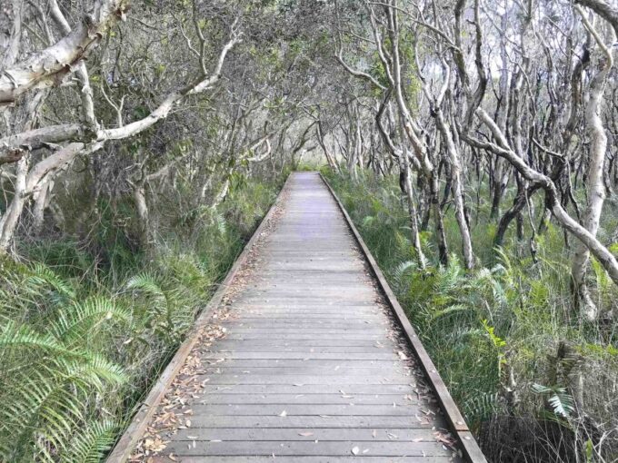 Sunshine Coast: Hidden Villages, Mountains, Islands & Lunch - Frequently Asked Questions
