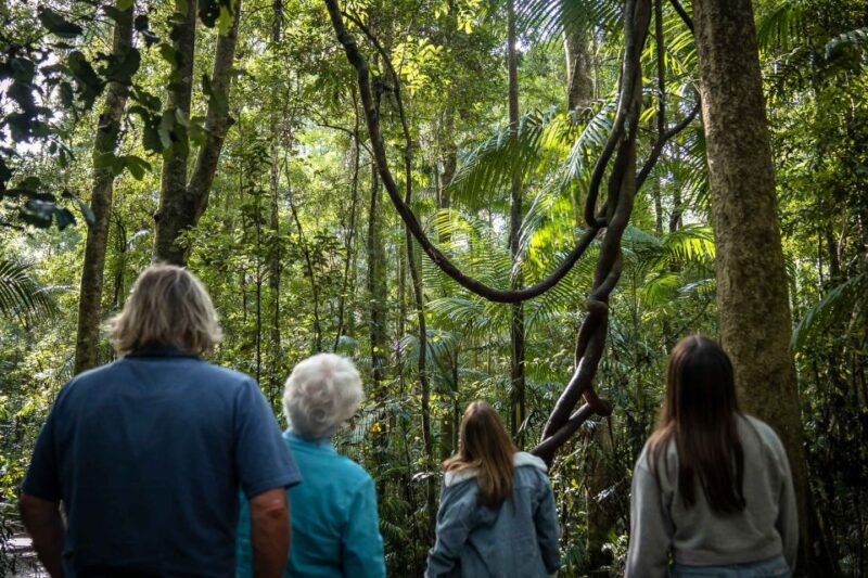 Sunshine Coast Hinterland and Noosa Small Group Tour - Noosa Heads Discovery