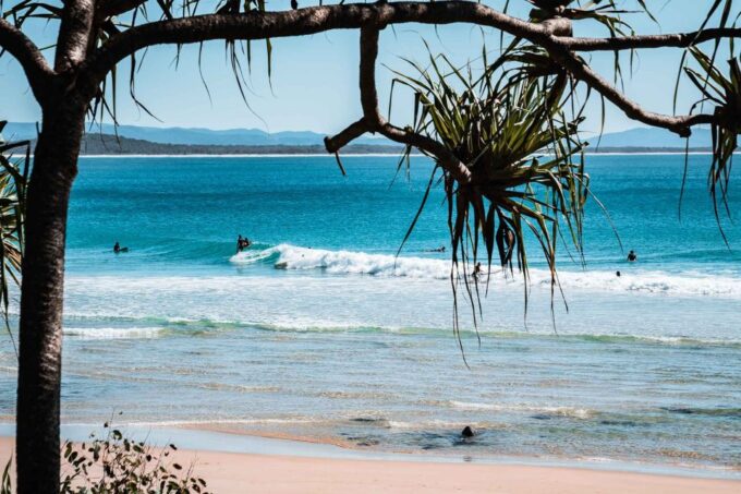 Sunshine Coast Hinterland and Noosa Small Group Tour - Important Tour Information