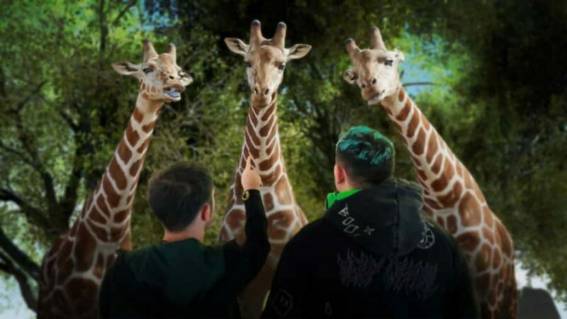 Sunshine Coast: Hologram Zoo Africa Adventure - An In-Depth Look at the Experience