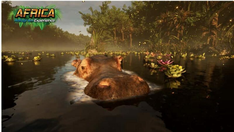 Sunshine Coast: Hologram Zoo Africa Adventure - The Sum Up: Is It Worth It?
