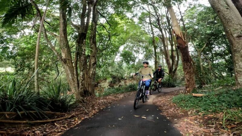 Sunshine Coast: Maleny Magic Guided E-Bike Tour - Itinerary Highlights