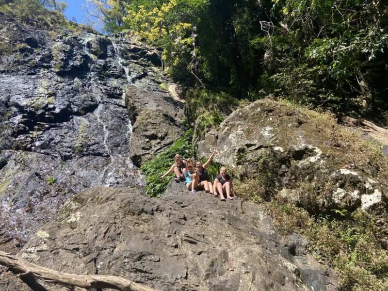 Sunshine Coast: Maleny Village and Kondalilla Falls Tour - Highlights of the Day