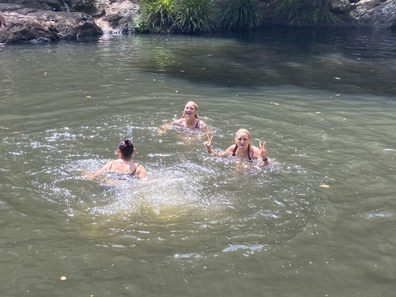 Sunshine Coast: Maleny Village and Kondalilla Falls Tour - Exploring Kondalilla Falls