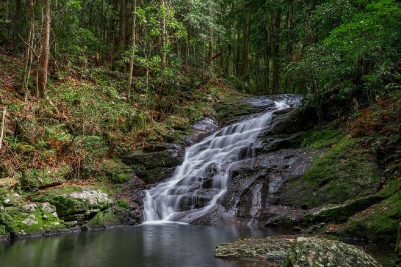 Sunshine Coast: Maleny Village and Kondalilla Falls Tour - Tour Inclusions and Exclusions