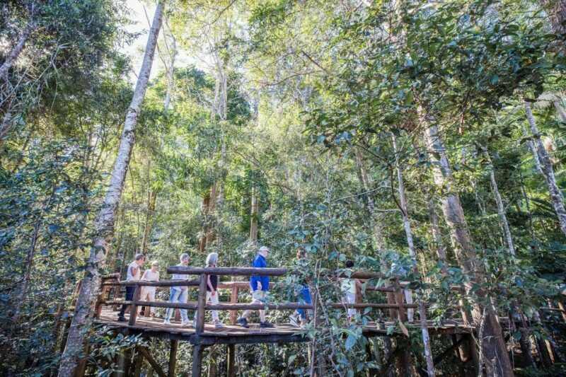 Sunshine Coast & Noosa Hinterland Scenic Culinary Experience - Final Thoughts