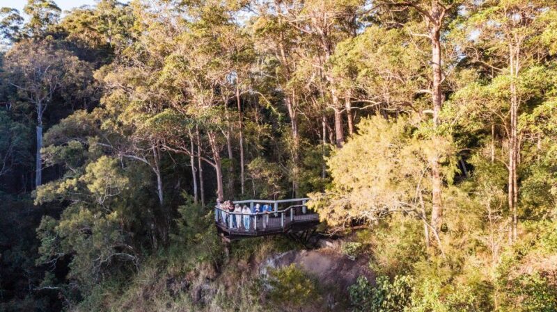 Sunshine Coast & Noosa Scenic Food & Wine Tour With Tastings - Key Points