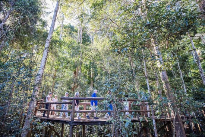 Sunshine Coast & Noosa Scenic Food & Wine Tour With Tastings - Important Information
