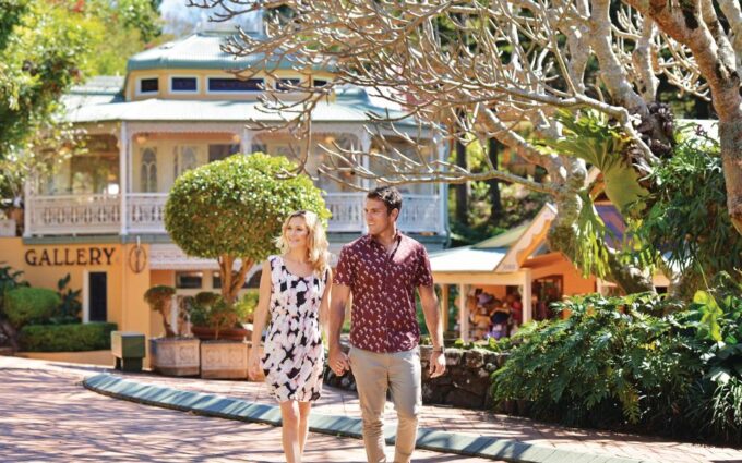 Sunshine Coast: Private Group Wine Tour With Lunch - Montville Shopping and Art Gallery