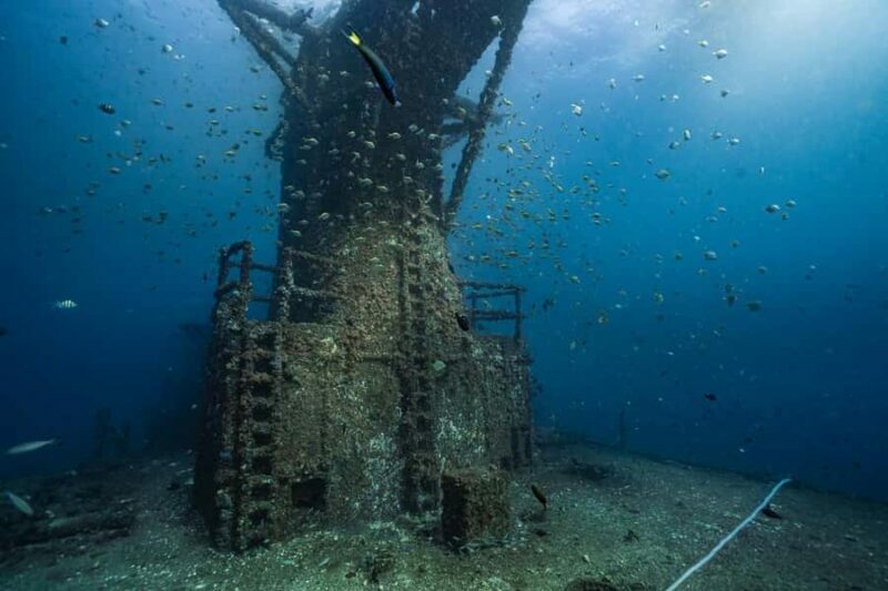 Sunshine Coast: Scuba Dive the Ex-HMAS Brisbane Ship Wreck - Who Should Consider This Tour?
