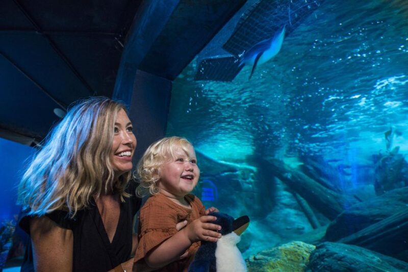 Sunshine Coast: SEA LIFE Sunshine Coast Entry Ticket - Key Points