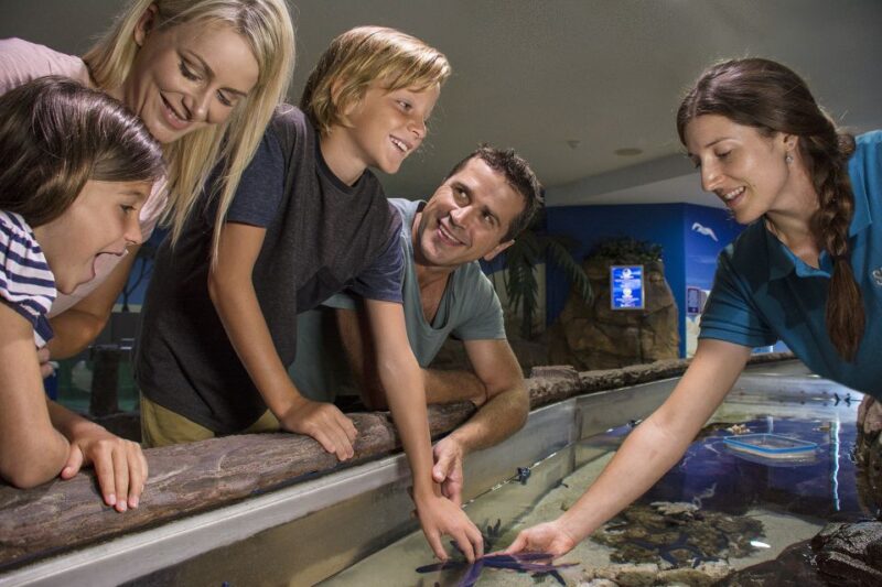 Sunshine Coast: SEA LIFE Sunshine Coast Entry Ticket - Highlights and Attractions