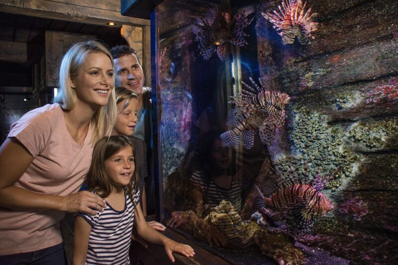 Sunshine Coast: SEA LIFE Sunshine Coast Entry Ticket - Conservation and Education