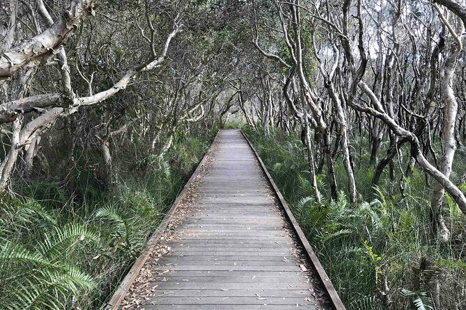 Sunshine Coast Seaside Explorer Private Tour with Lunch - The Sum Up: Who Should Consider This Tour?