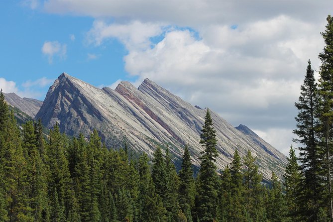 Sunwapta Challenge Whitewater Rafting: Class III Rapids - Included in the Experience