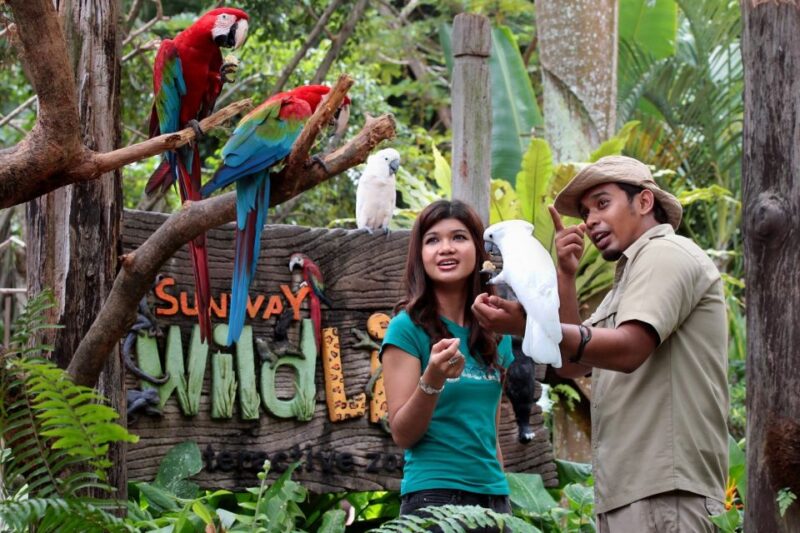 Sunway Lagoon: Ticket With Transfer From Kuala Lumpur - Key Points
