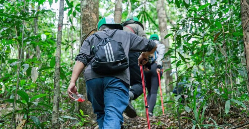 Suoi Tien 1-Day Trekking: Phu Quoc Excursion - Key Points