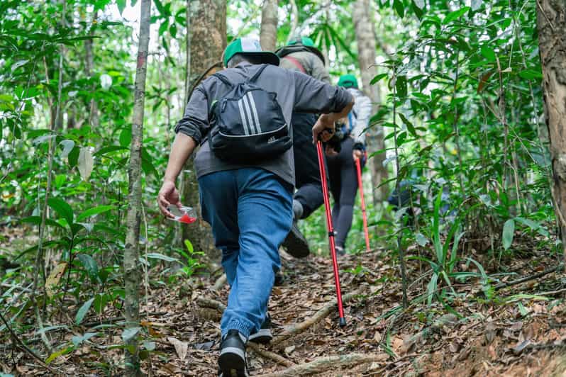 Suoi Tien 1-Day Trekking: Phu Quoc Excursion - Itinerary Details