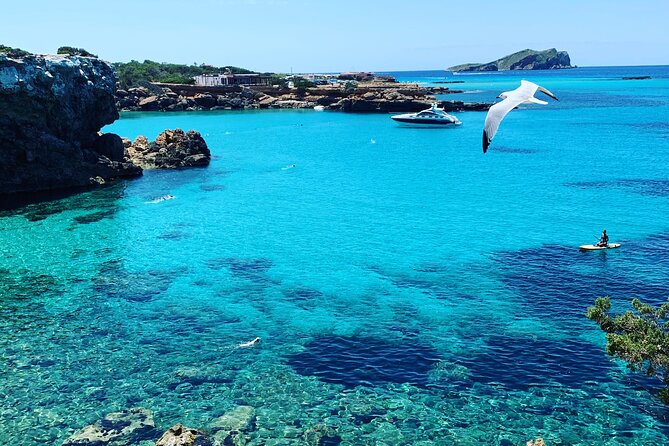 SUP Adventure Ibiza (Stand up Paddle , Snorkeling ,Kayaking) VIP - Accessibility and Transportation