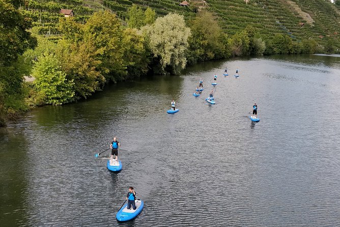 SUP BASIC COURSE Stuttgart Neckar Stand Up Paddling / Paddling Adventure Jones Tours - Relaxed Atmosphere