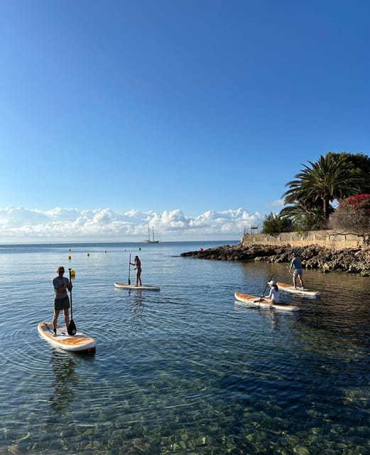 SUP Board Rentals - Key Points