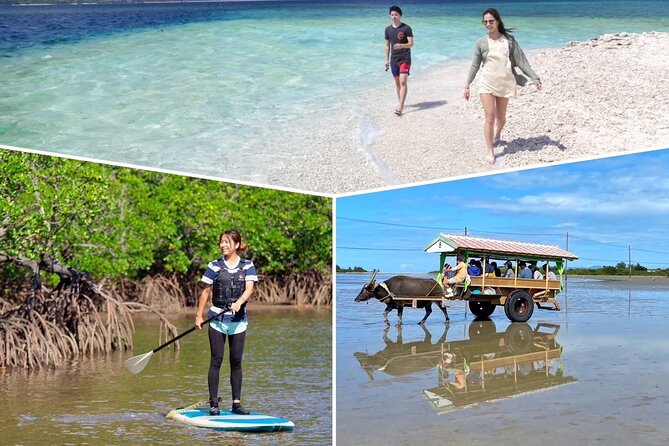 SUP/Canoe & Landing on Coral Island & Sightseeing in Yubujima - Itinerary and Schedule