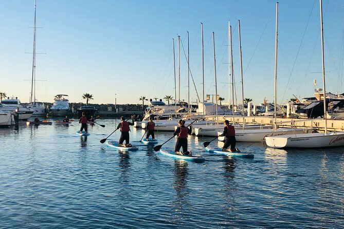 SUP Excursion in Palma - Key Points