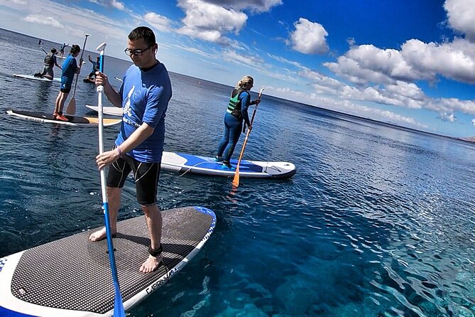 Sup Experiences in the Ocean - Suitability and Accessibility