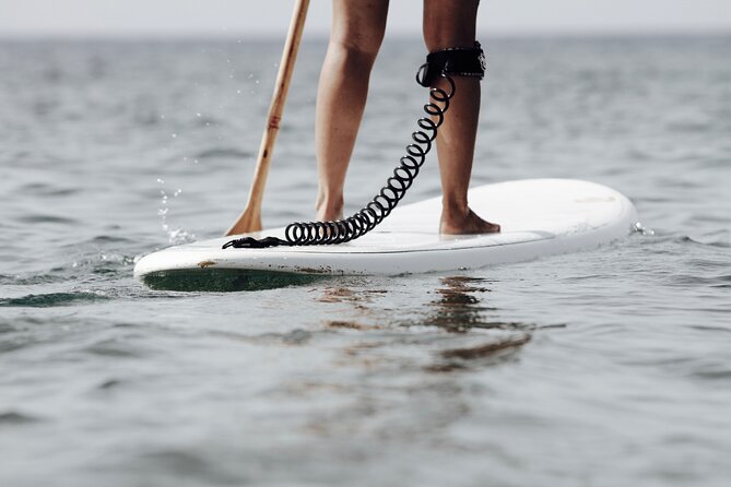 Sup Experiences in the Ocean - What to Expect on the Day