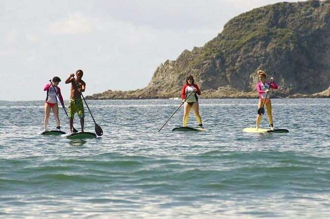 SUP Paddle Board Manuel Antonio - Key Points