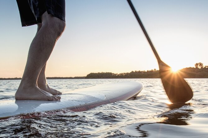 SUP Paddle Board Rentals - Activities on the Water