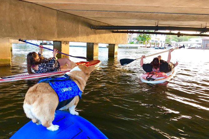 SUP PUP Paddleboard Tour - Instruction and Equipment