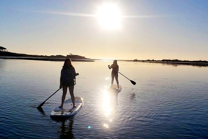 SUP (Stand-Up Paddboard) Salt Marsh Maze Tour - What to Expect