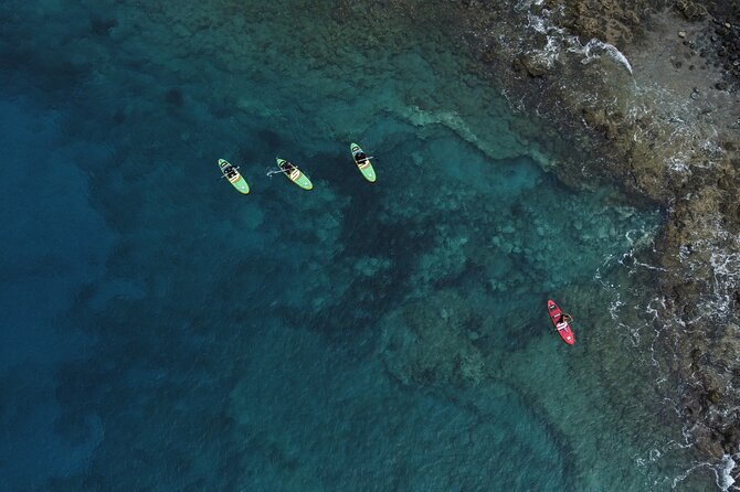 SUP Standup Paddling and Snorkeling Shared Experience - Meeting and Pickup Information