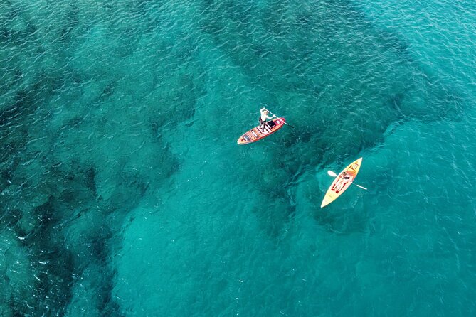 SUP Standup Paddling and Snorkeling Shared Experience - Traveler Experiences and Feedback