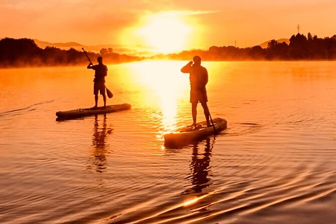 SUP Sun Experience With Transport From Porto and Braga - Customer Feedback