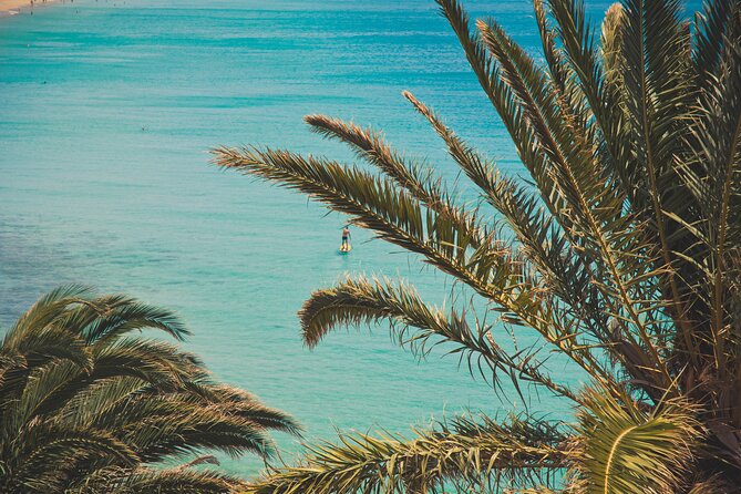 SUP Taster Course in the Picturesque Bay of Morro Jable - Pricing and Guarantees