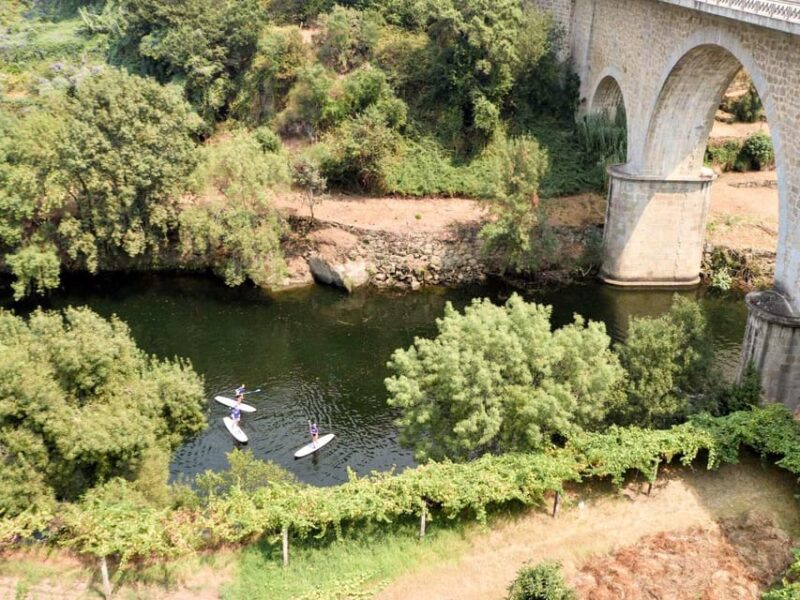 SUP TOUR - Explore Porto'S Surroundings on a SUP Board - Key Points