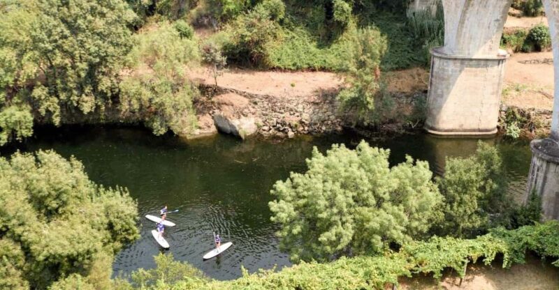 SUP TOUR - Explore Porto'S Surroundings on a SUP Board - SUP Experience and Activities