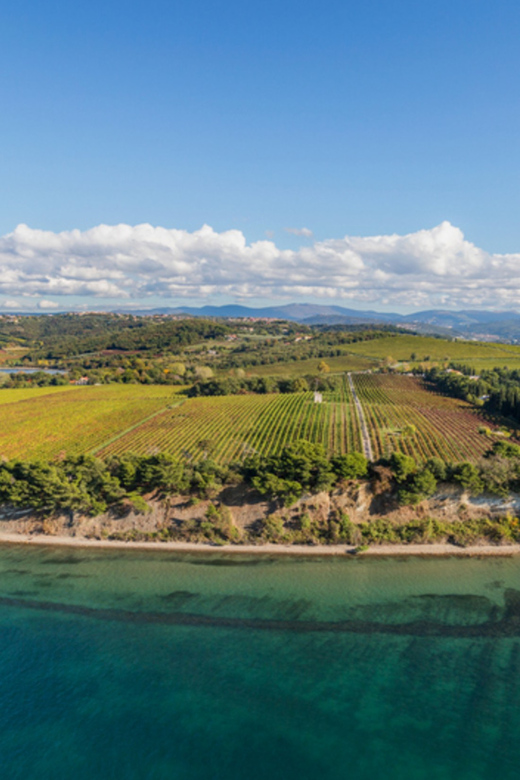 SUP Tour: Exploring Debeli Rtic Coastline - Key Points