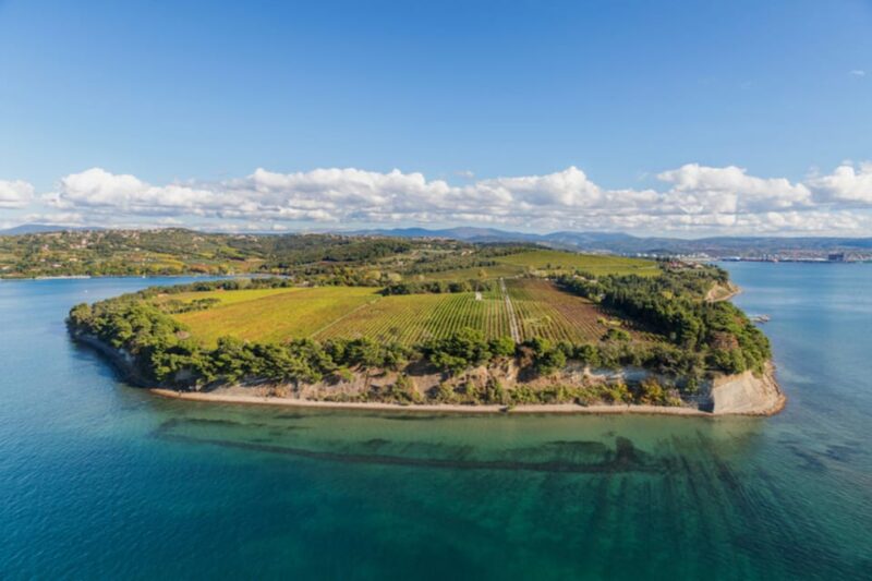 SUP Tour: Exploring Debeli Rtic Coastline - Participant Restrictions