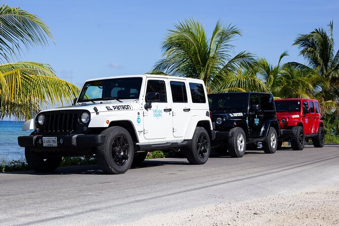 Super Cozumel Combo Snorkel by Boat and Jeep Exploration (Private) - Itinerary and Inclusions